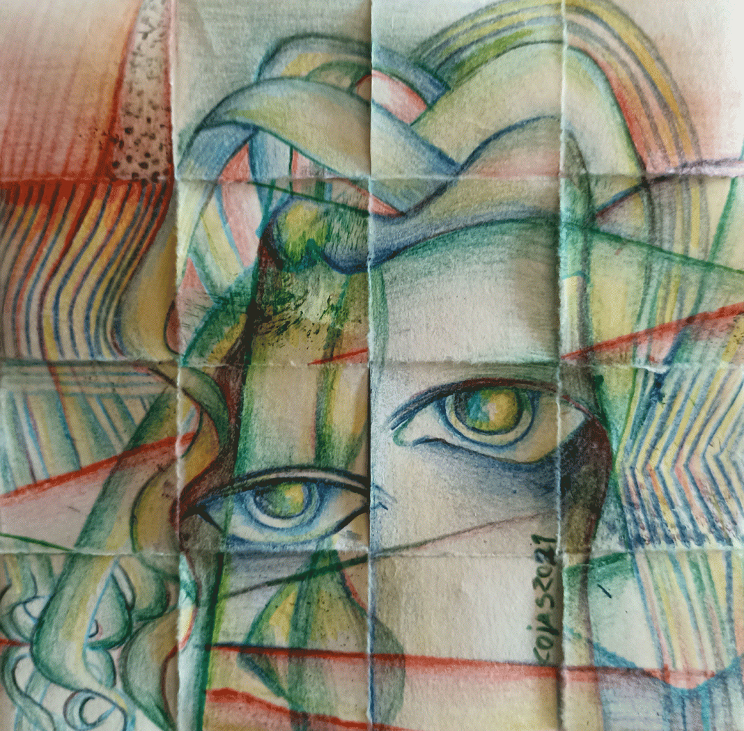 Retalho Coias Ferreira (1)