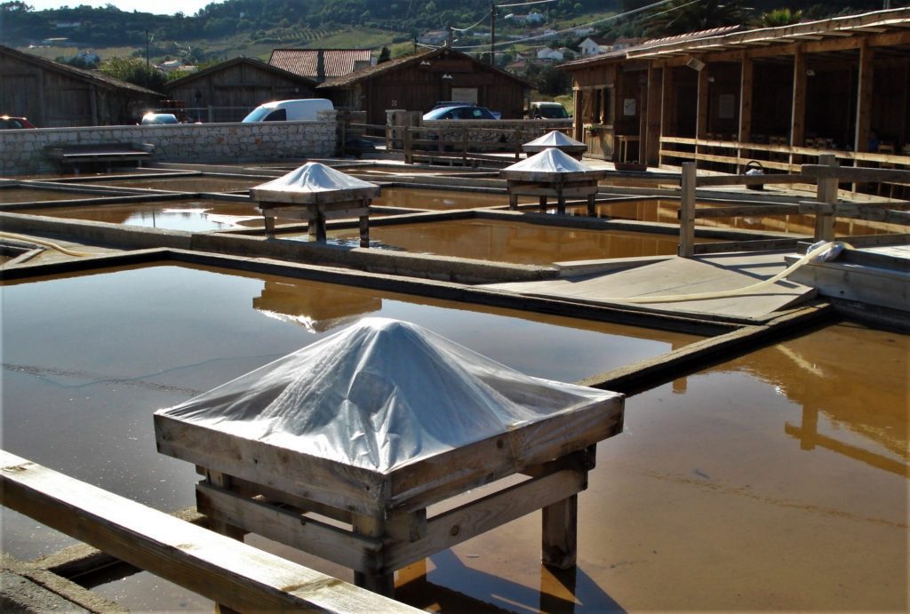 A classificação das salinas de Rio Maior como Imóvel de Interesse Nacional arrasta-se