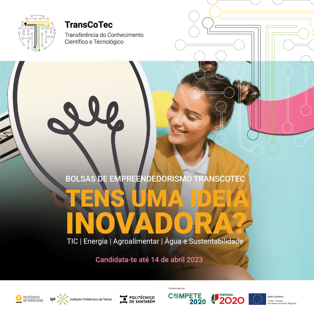 Consórcio de Politécnicos lança bolsas de empreendedorismo