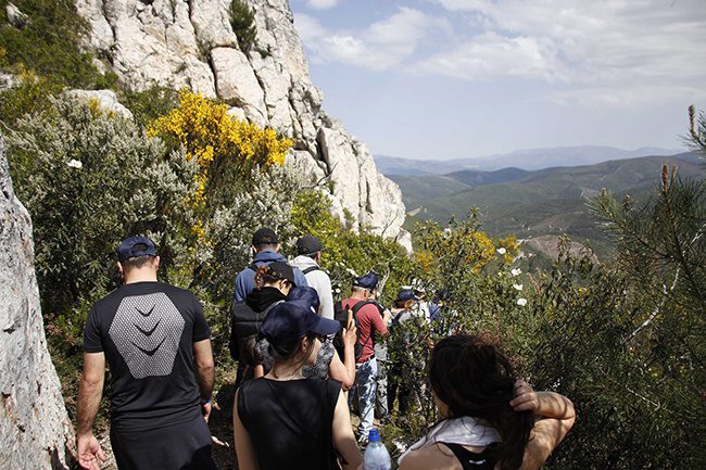 Trilho dos Apalaches abril 2017