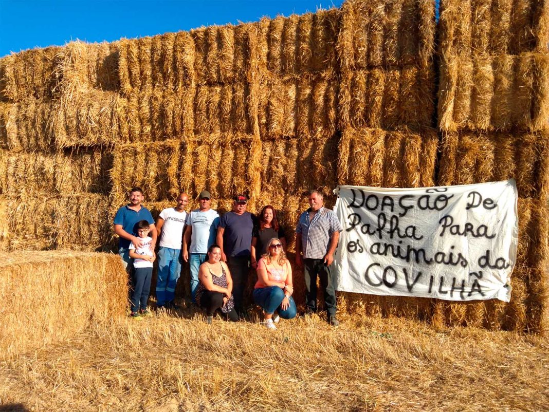 Delongo: Grupo de populares doa treze toneladas de palha que seguem amanhã para animais da Serra da Estrela