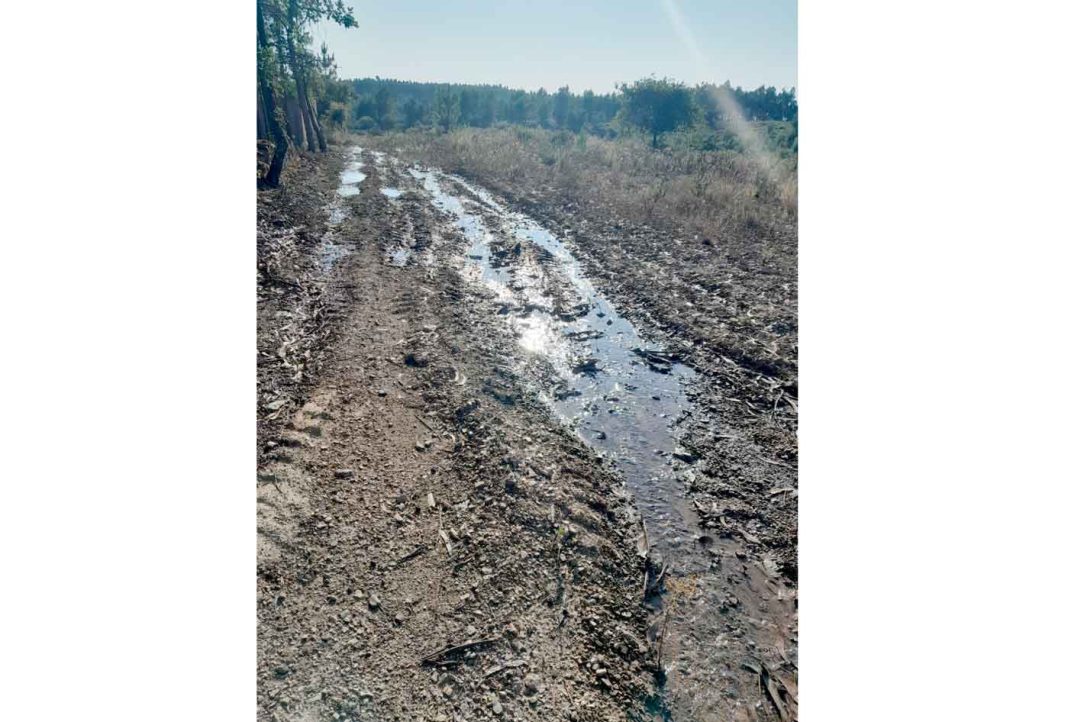 Moradores da Fonte D. João indignados com a Tejo Ambiente