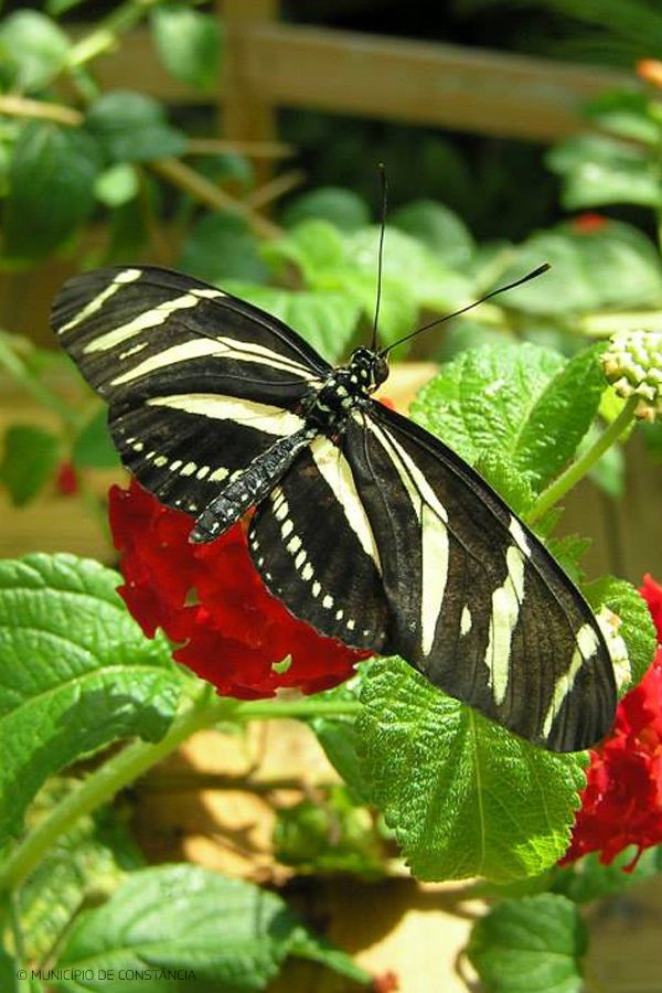 aa6ba7bd8f19390e6067779d791ec1b1 aa6ba7bd8f19390e6067779d791ec1b1