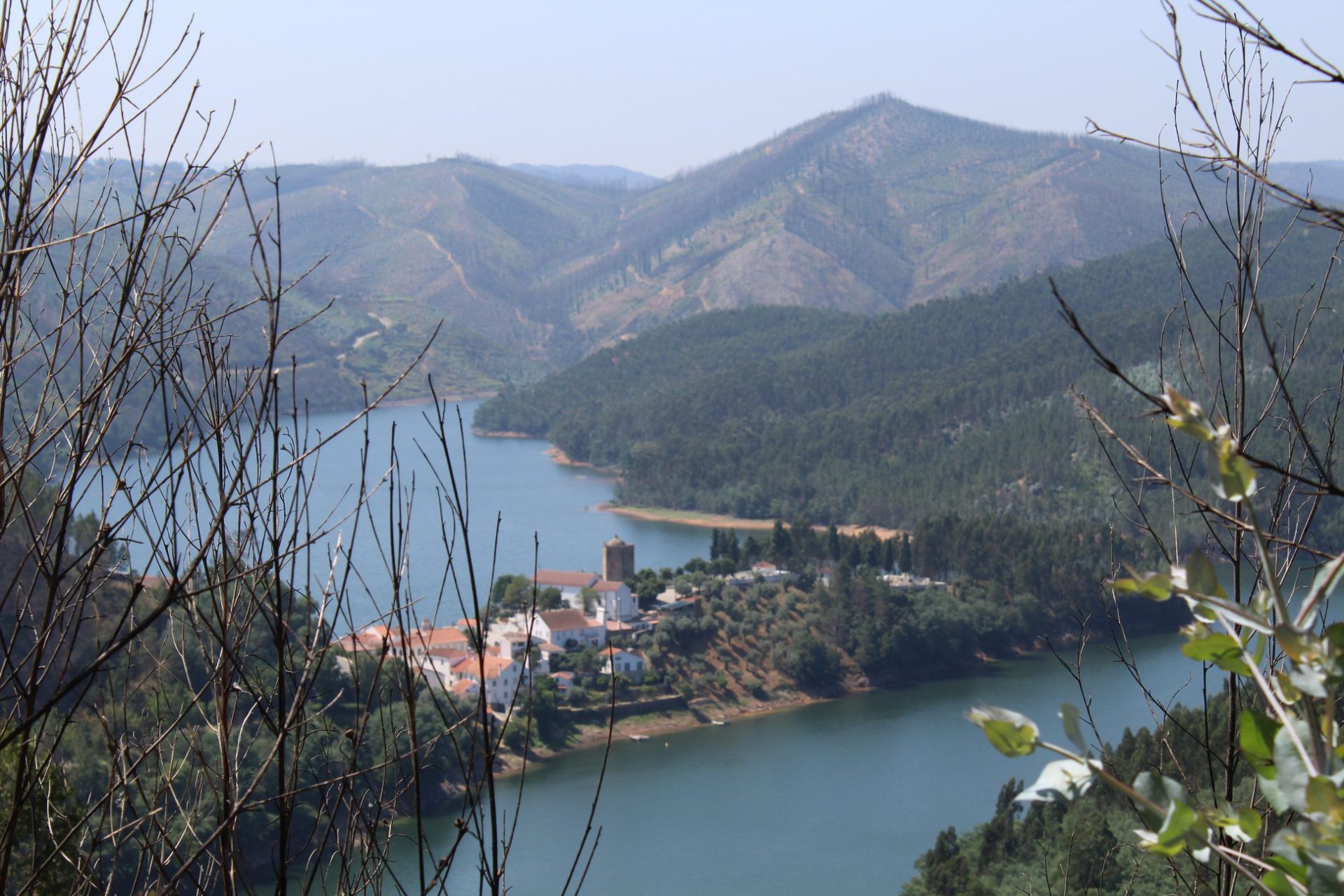 aetcb dornes aetcb dornes