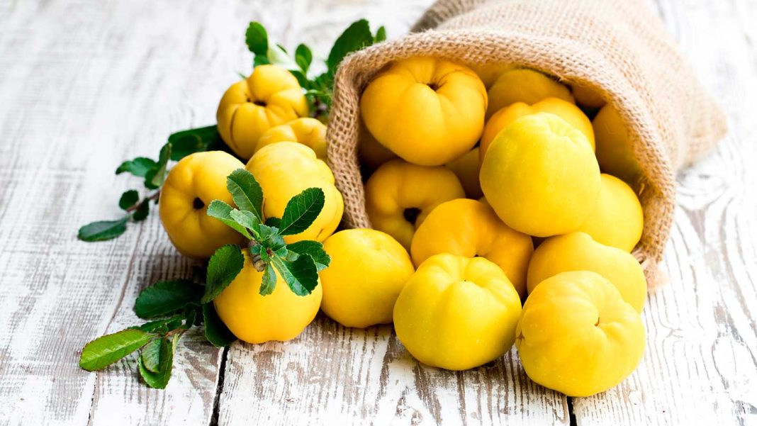 Quem gosta de marmelos? Faça uma visita à tenda do mercado municipal de Tomar