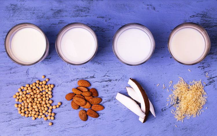 Tomar: Quer aprender a fazer bebidas vegetais?