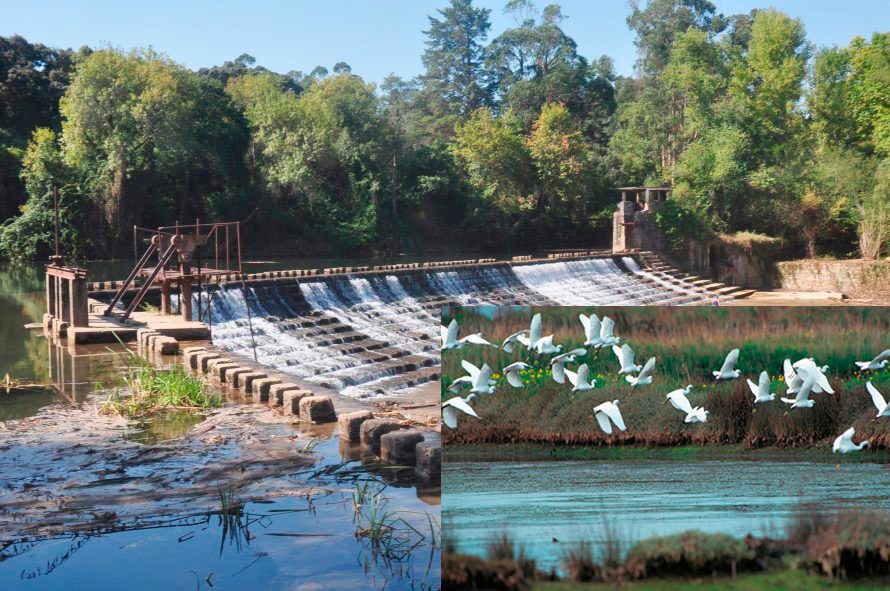 Do Nabão ao Paul do Boquilobo