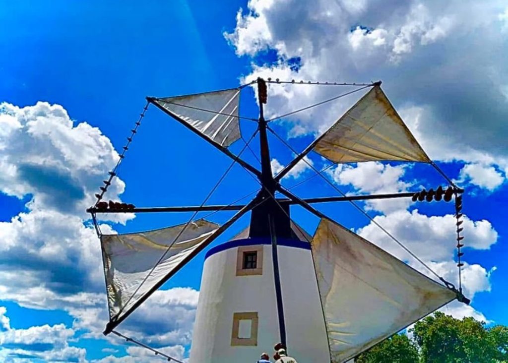 O Moinho de Elídio Silva, uma verdadeira lição de história sobre o ciclo do pão