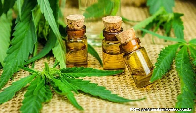 Empresa de investigação de canábis medicinal quer instalar-se em Abrantes