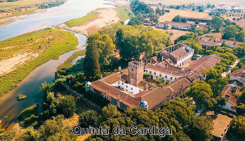 cardiga aerea 780x449