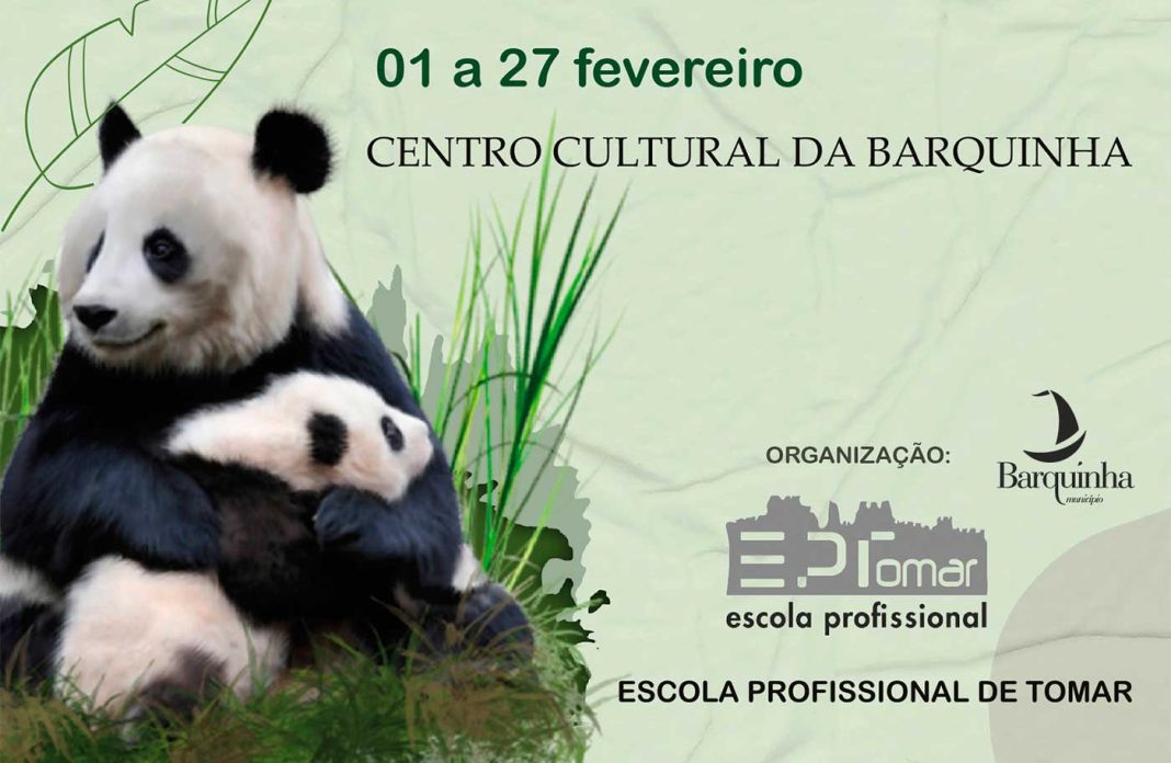 Aluna da Escola Profissional de Tomar expõe «Animais do Mundo» na Barquinha