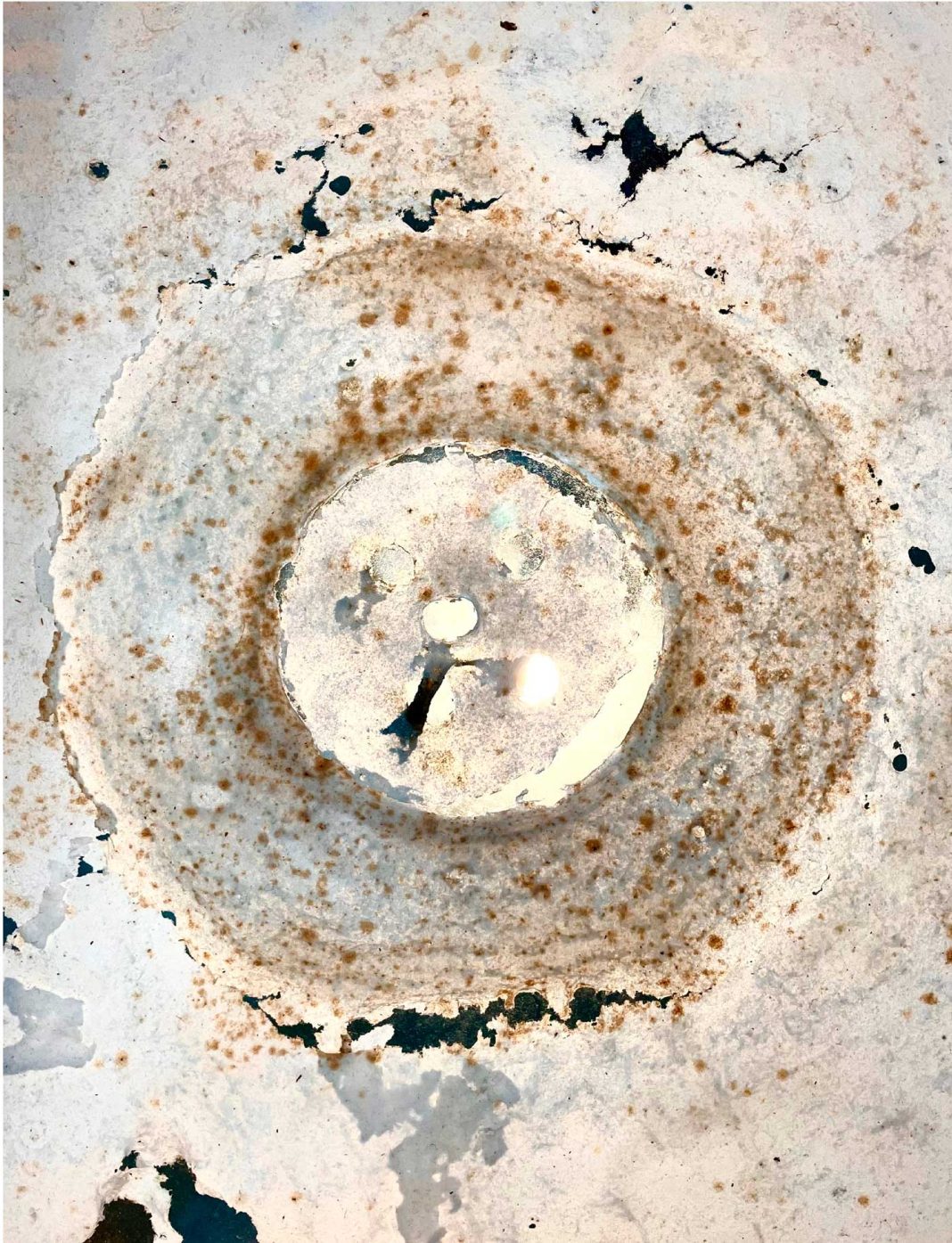 Agrupamento de Escolas Templários recebe projeto «Fuga» de Rita Gaspar Vieira