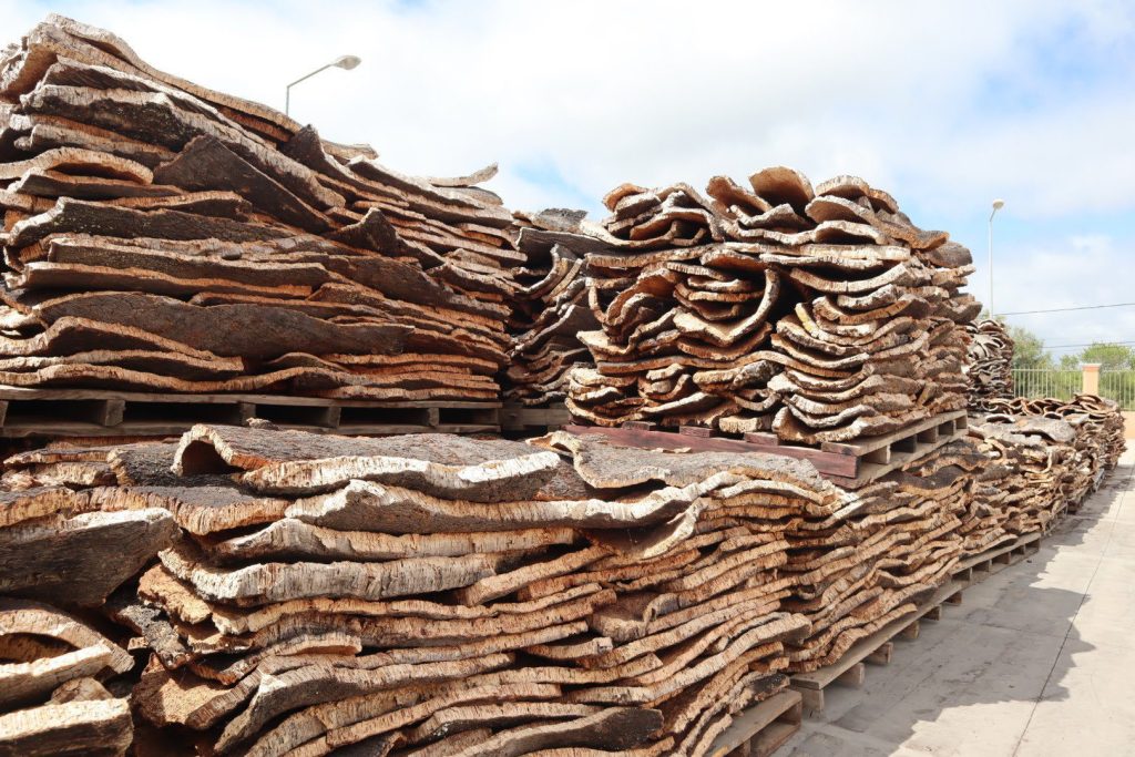 Andam a roubar cortiça no distrito de Santarém