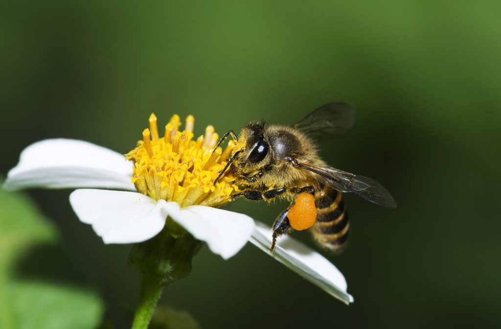 dreamstime m 38156823 e1621444386756 1600x1052