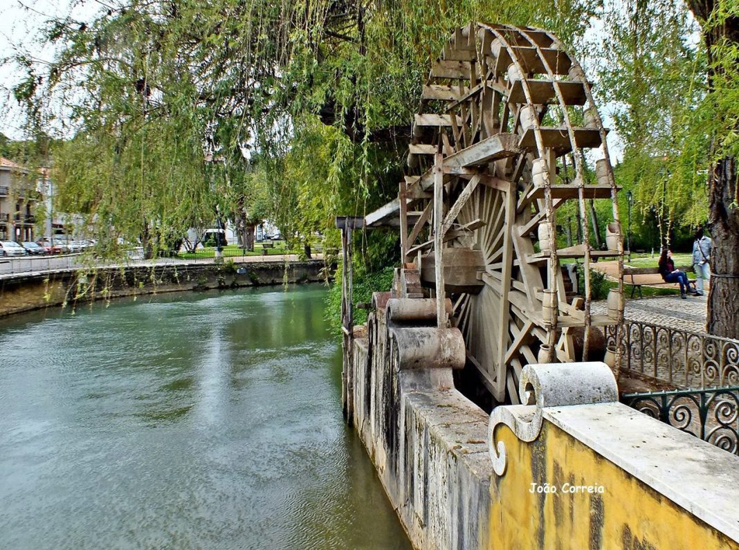 Rotary Club Tomar Cidade promove o projeto «Abraçar o Rio»