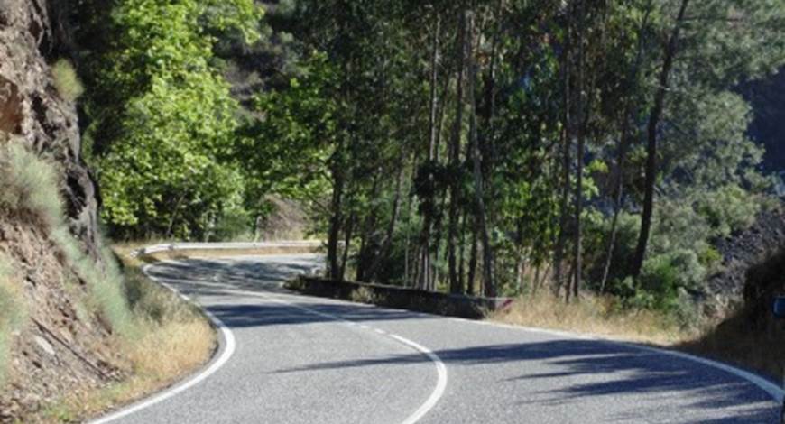 Deputados socialistas recomendam ao Governo que promova a requalificação da EN 238 entre Ferreira do Zêzere e Sertã
