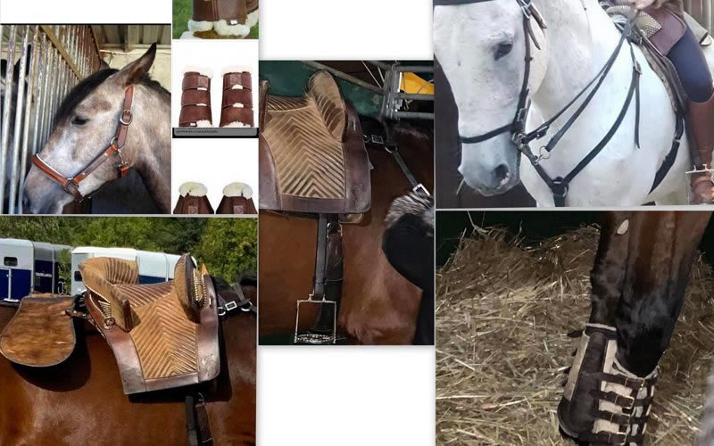 Roubaram material de equitação de uma cocheira na Golegã