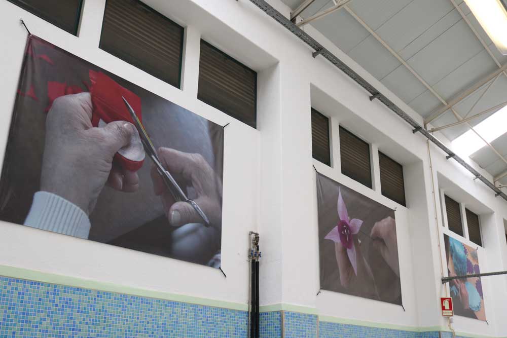 Mercado Municipal de Tomar é palco da exposição “A Festa… o Saber e o Gesto”