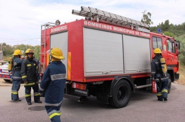 felix 640x4241 640x424 640x424 640x424 640x424 1