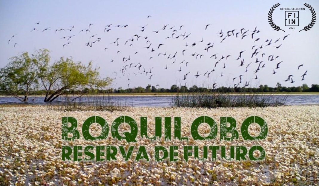 “Boquilobo. Reserva de Futuro” no Festival Internacional de Imagem de Natureza (FIIN) C/vídeo