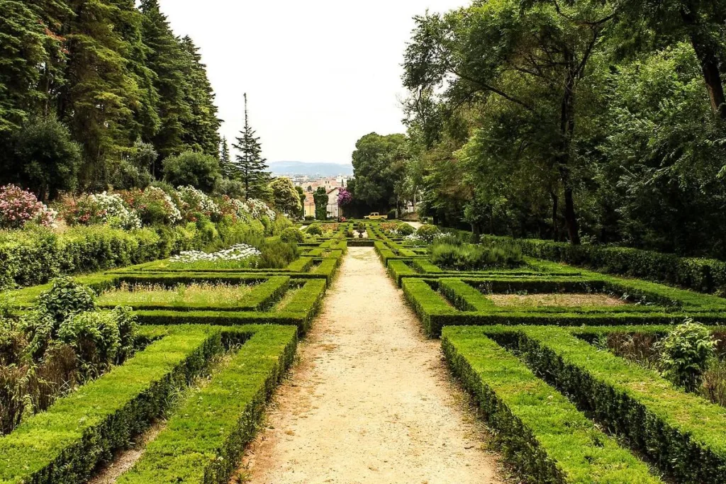 Wellness Weekend – “Tempo de Ser” já arrancou na Mata dos Sete Montes