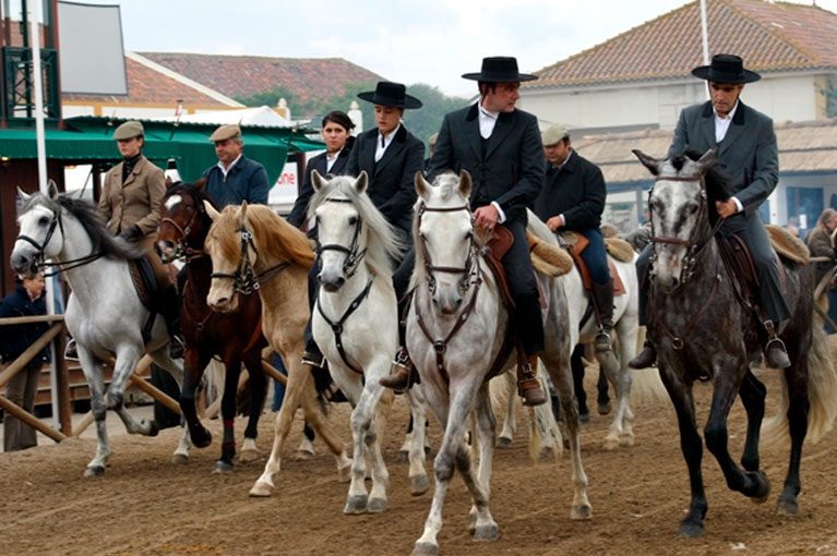 Golegã candidata Feira Nacional do Cavalo a Património Imaterial da Humanidade da UNESCO
