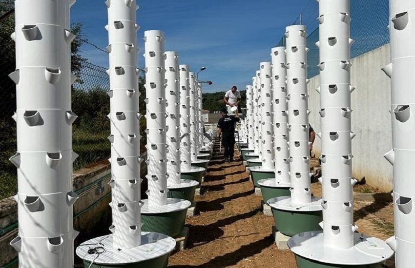 Estabelecimento Prisional de Torres Novas implementa hortas verticais
