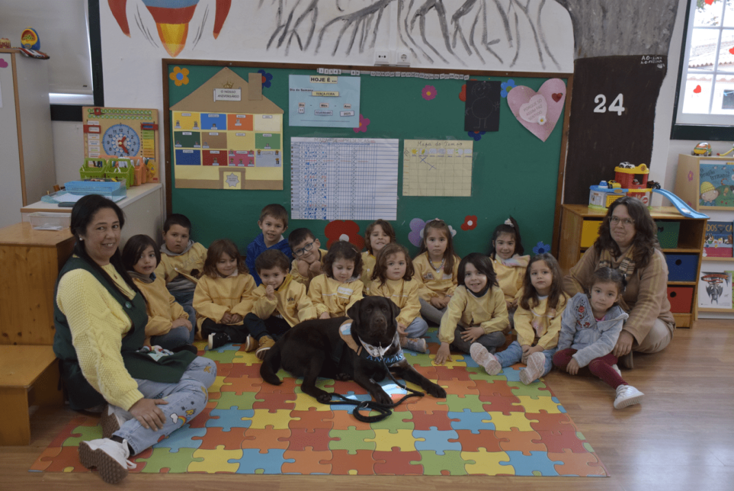 Município da Chamusca promove sessões de serviços assistidos por animais nos Jardins de Infância