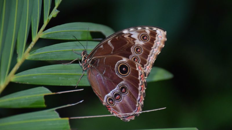 image 20899 1 1559231658 1