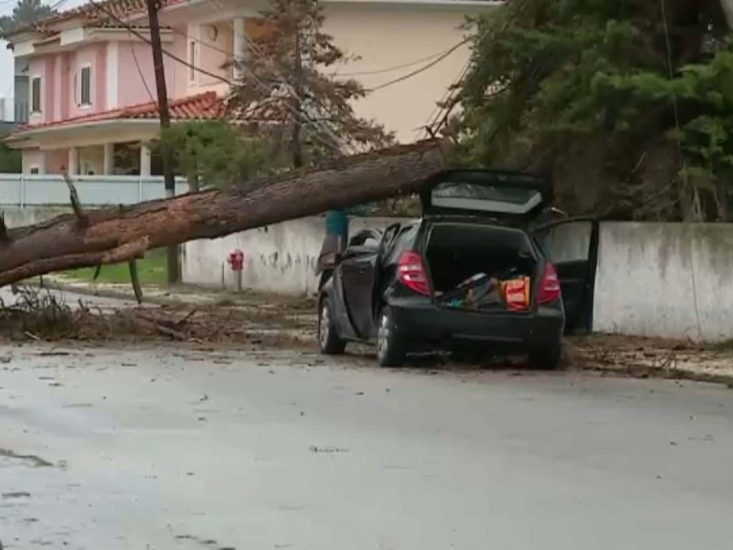 Ventos fortes danificam viaturas e derrubam árvores em Salvaterra de Magos