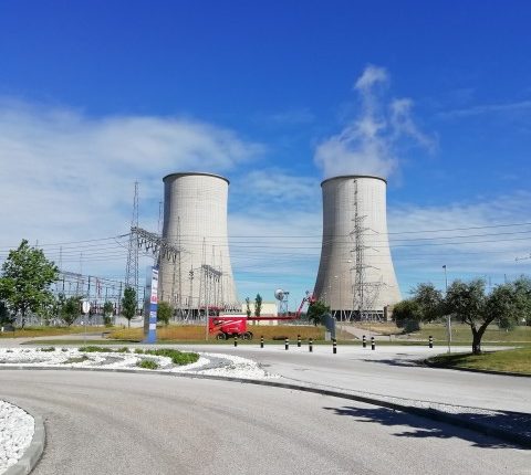 img 20190520 101427 480x430 1