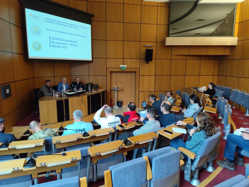 Médio Tejo: Quase metade dos incêndios rurais de 2025 tiveram origem criminosa