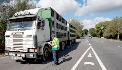 img 432x2432014 09 22 18 54 00 406006