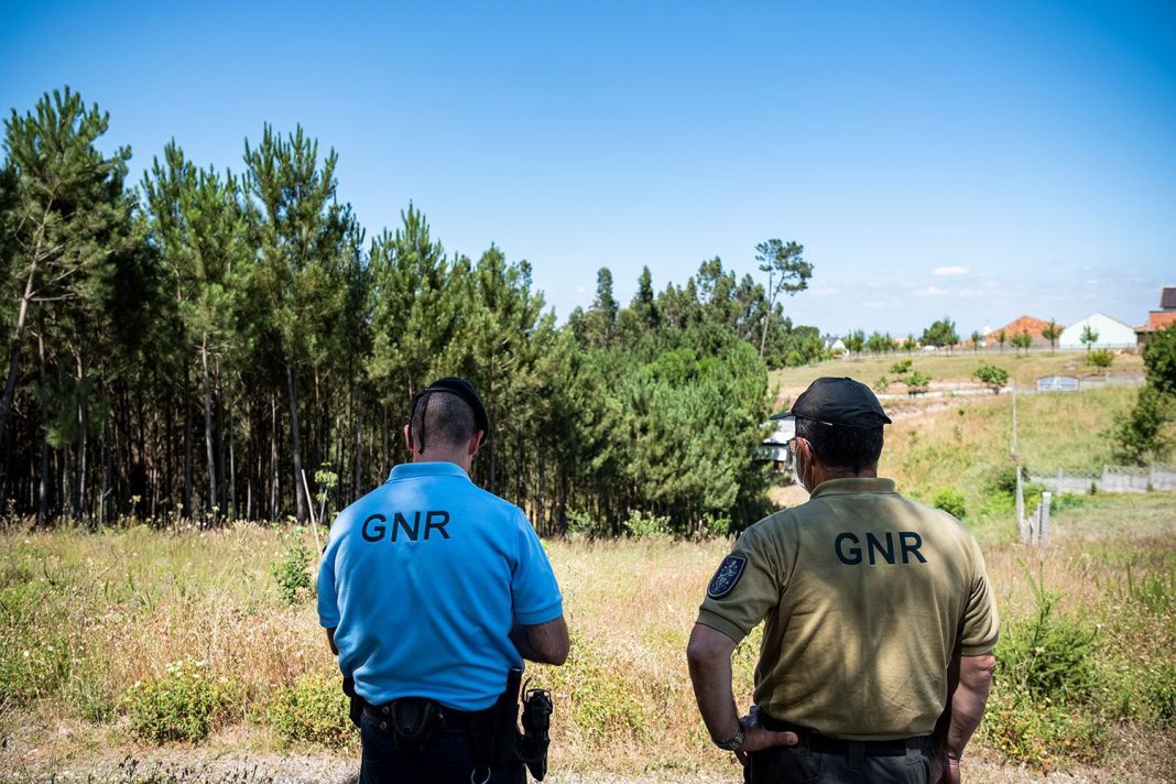 GNR atenta a quase 14.000 locais em risco de incumprimento de limpeza de terrenos