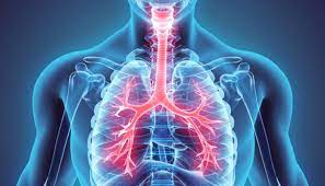 Doenças respiratórias não covid matam 36 pessoas por dia em Portugal