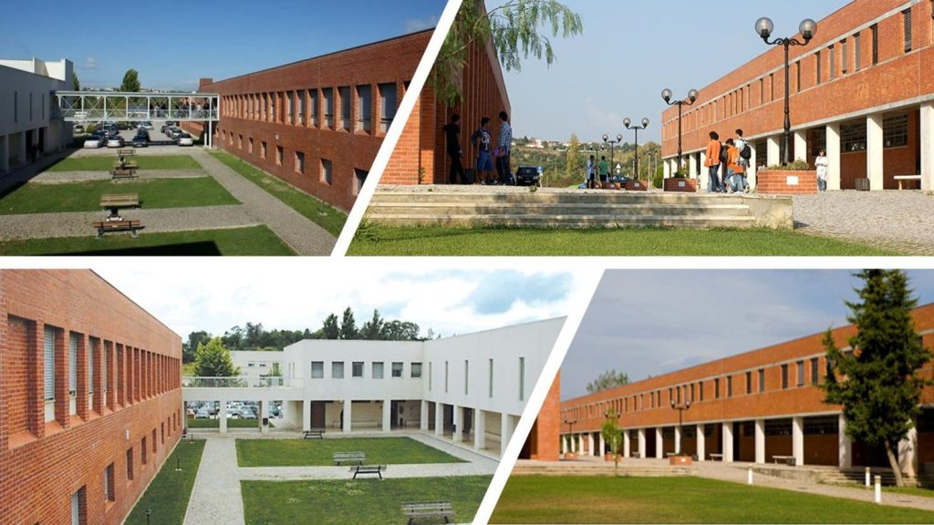 ipt 9035220355819503616 o