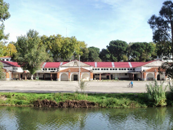 Tomar: Mercado grossista vai mudar para a FAI, mas nem todos concordam