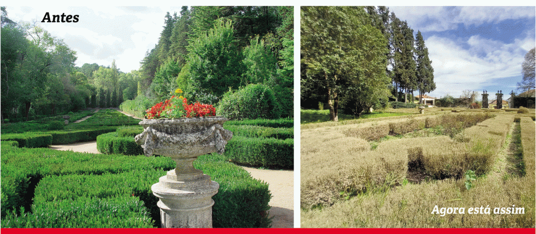 Antigo autarca tomarense indignado com o estado da Mata dos Sete Montes, pede a demissão dos responsáveis