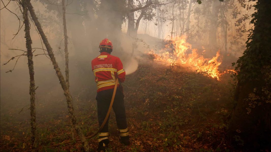 Polícia Judiciária deteve presumível autor de dois crimes de incêndio em Ourém