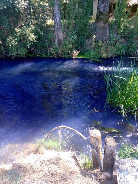 Descargas poluentes deixam rio Almonda de aspecto azul