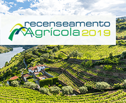 INE recruta 20 entrevistadores/as para Tomar, Ferreira do Zêzere, Ourém e Abrantes