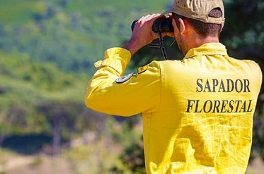 sapador florestal 5b06dadedc4f4 5caf0a545f30e 6263e3ecc9a9b