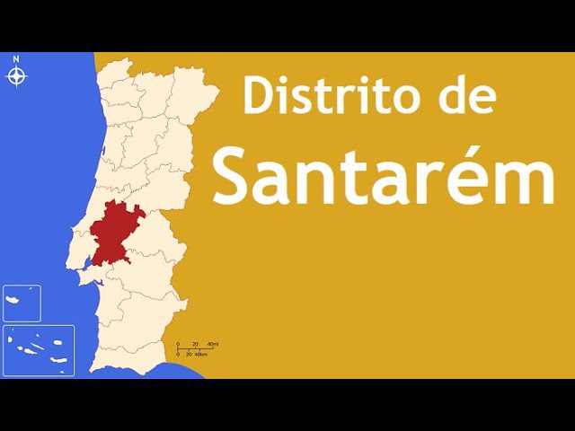 Eleições autárquicas: PSD já aprovou os primeiros 12 candidatos às 21 câmaras do Distrito