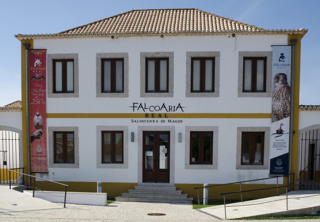 Sabia que a Falcoaria Portuguesa é Património Cultural Imaterial da UNESCO?