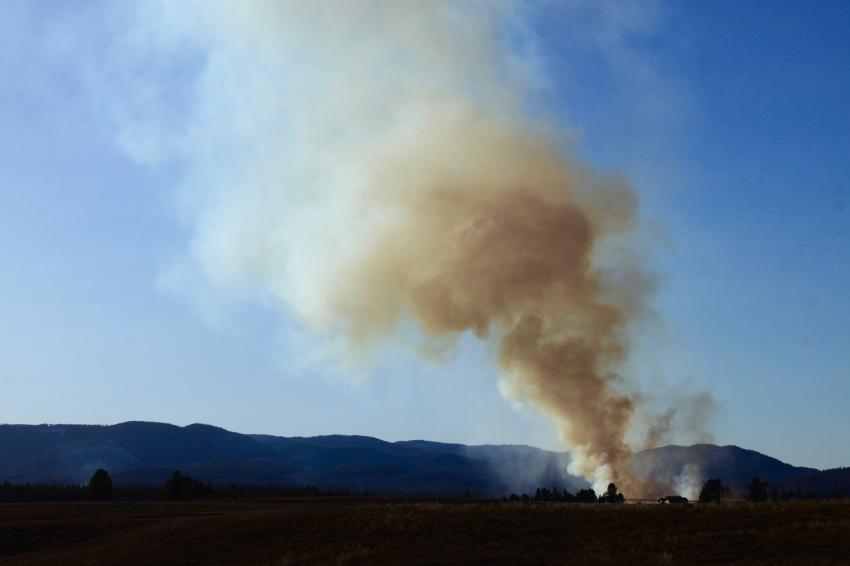 Detido presumível autor do fogo ocorrido ontem em Tomar