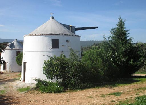 Trail do Almonda 2020: Inscrições abertas a partir de amanhã