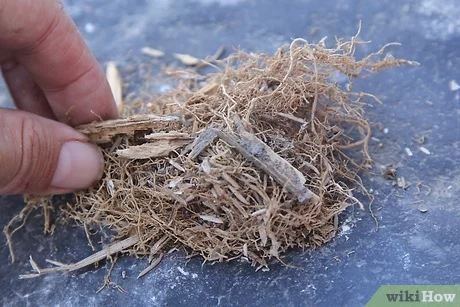 PJ deteve incendiário no concelho de Ourém