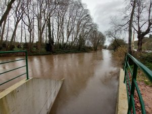 Rio Nabão em dia de chuva