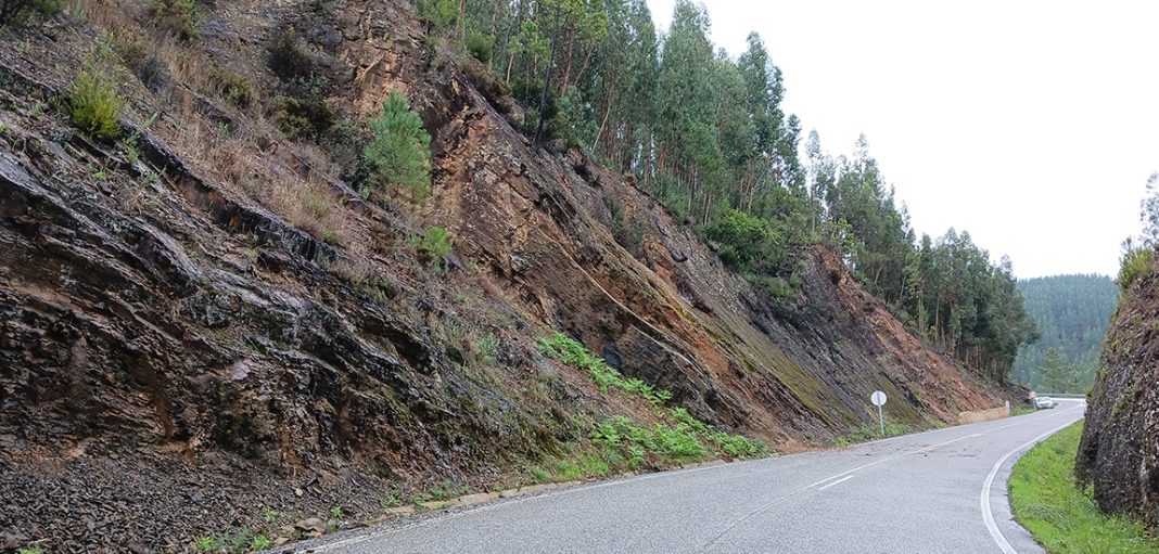 Assembleia Municipal aprova moção sobre a EN 238, eixo rodoviário fundamental para o concelho