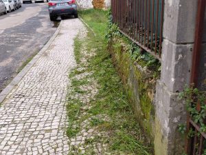 UF de S. João Baptista e Santa Maria dos Olivais aposta em novas ferramentas digitais